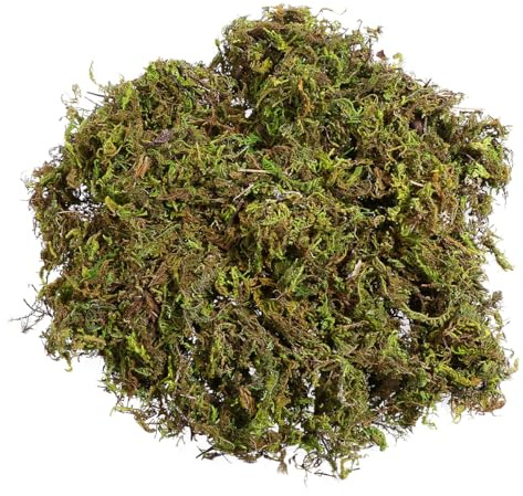 IMIKEYA 60g Fake Moss-Decorative Artificial Moss for Plant Pots-Green Faux Bulk for Crafts And Arts-Lichen for Garden Lawn Floristry Decor