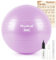 PhysKcal Gym Ball 65cm Purple Exercise Swiss Ball for Fitness Yoga Pilates Pregnancy, Anti Burst Ball Chair for Balance, Stability, Quick Pump Included
