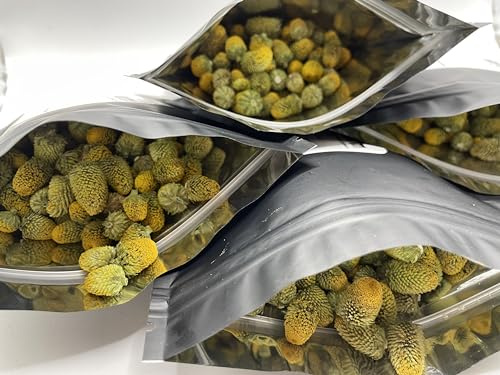 Spilanthes Tincture Infusion Flowers for creative cocktails and home remedies