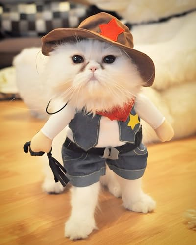 DELIFUR Juldräkter, cowboy för fest jul speciella evenemang kostym, West CowBoy uniform med hatt, rolig husdjur cowboy kläder för hund katt (L)