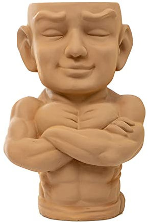 Roadoor Macetas de interior para rostro, macetas de cabeza muscular, macetas de flores pequeñas, cabezas de resina, macetas para plantas de interior, café