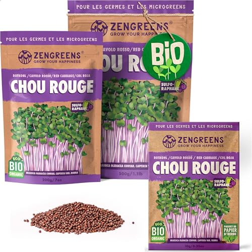 ZenGreens® - EKO Rödkål Frön - Välj mellan 10, 200g och 500g - Rödkål Frön med en grobarhet på över 97 procent - Groddar av Rödkål Frön - Microgreens