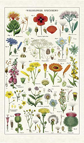 Cavallini Papers & Co. Wildflowers Tea Towel, Multicolor