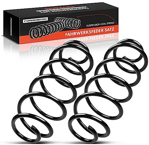 Frankberg 2x Federn Fahrwerksfeder Hinterachse Kompatibel mit C3 I FC FN 1.1L 1.4L 1.6L Schrägheck 2002-2010 Replace# 5102G4