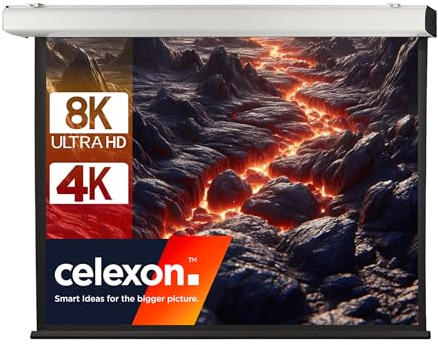 Celexon Leinwand Motor Expert XL 350 x 265 cm