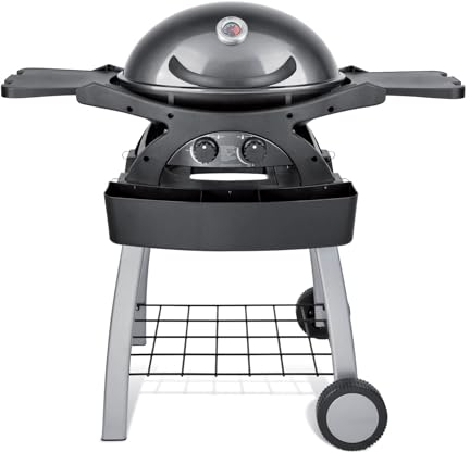 Barbecue a Gas GPL 2 Fuochi 5,2kW 2 Ripiani con Carrello Twin Grill Grigio