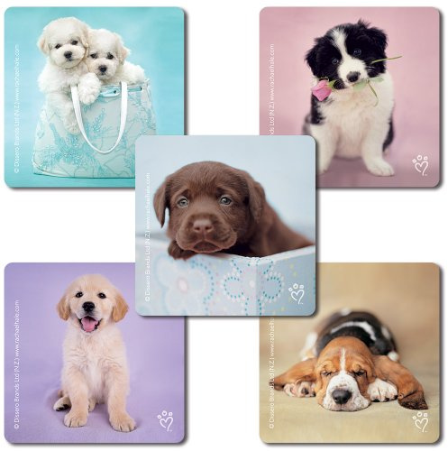 SmileMakers Dog Stickers for Kids - Cute Puppy Stickers Pack of 100 with 5 Assorted Designs | Perfect for Scrapbooking, Party Favors & Rewards | Hypoallergenic & Latex Free | 2.5 Inch Square
