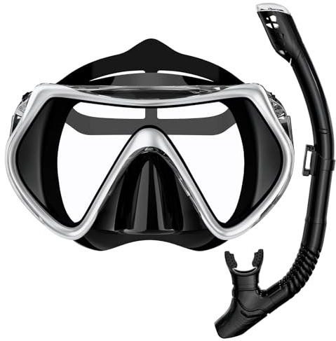 BuyCard Snorkel Mask,180 Degree Panoramic View Dry Top Snorkeling Gear，Safe Anti-Leak Anti-Fog Diving Mask, Snorkel Set and Swimming Goggles (Silver)