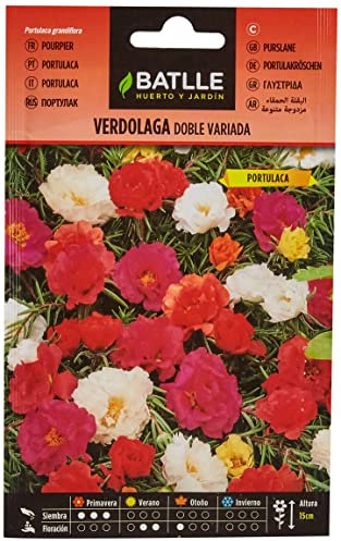 Semillas Batlle Verdolaga DOBLE Vda. (Portulaca)