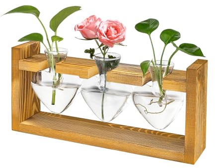 Glass Plant Propagation Station - Heart Shaped Vases with Vintage Wooden Stand and Terrarium for Indoor Home Desk Decor - 3 Pieces