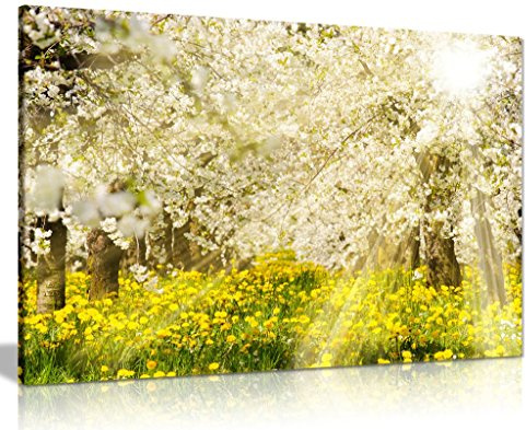 Sun Rays at Blooming Apple Tree Canvas Wall Art Picture Print (30X20)