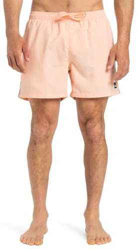 Quiksilver Everyday Beach Volley 15 Pantaloncini da tavola Uomo