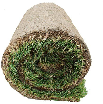 KENTIS - Vero Prato a Rotoli con Misure a Scelta - Vera Erba Naturale per Giardino ed Esterni - 2 Metri Quadrati