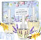 SCENTORINI Duftölflakon Set, Raumduft Lufterfrischer, Raum Duftöl, Duft - Vanille, Lavendel, Leinen, Duftflakons Nachfüller Geeignet für Air Wick und Glade Duftstecker, 3 x 19ML