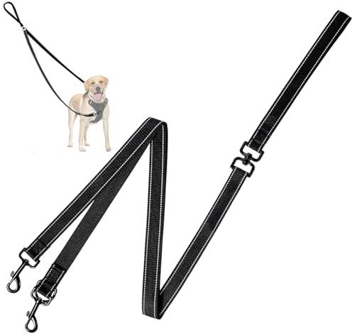 Two Point Control Leash for Dog, Professional Anti-Pull Dog Lead, Double Clip Leashes, Double Ended Lead with Reflective Stitching and Soft Padded, Easy to Convert to Single Lead (Black)