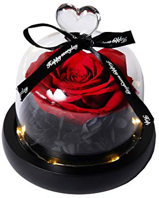 Hyindoor Ewige Rose im Glas Konservierte Rose Rote Seidenrose und LED-Licht in Glaskuppel auf Holzsockel Geschenke für Geburtstag, Hochzeit, Valentinstag, Muttertag, Jubiläum, Weihnachtstag