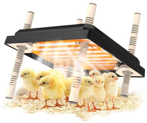 Chick Brooder Heating Plate,Adjustable Height and Angle Chick Brooder,Safe Incubators Alternative to Heat Lamps and Hens,for Chicks/Ducks Thermostat (10 x 10) for 15 Chicks - Black