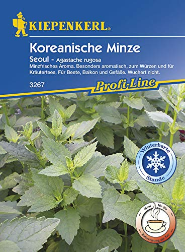 Kiepenkerl 3267 Koreanische Minze Seoul (Koreanische-Minzesamen)