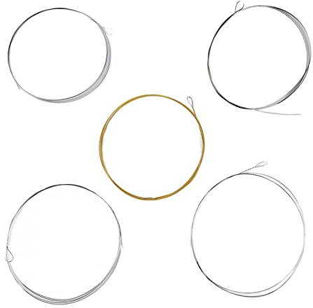 5-saitige Banjo-Saite, Edelstahl-Banjo-Saiten, Heller Klang, Dicker 5-saitiger Ersatz