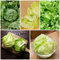 200 Pc Semillas De Lechuga Iceberg, Semillas De Lechuga, Lechuga - Hortalizas De Invierno, Plantas Resistentes Para El Jardín Lechuga Recogiendo Semillas De Lechuga, Semillas De Lechuga