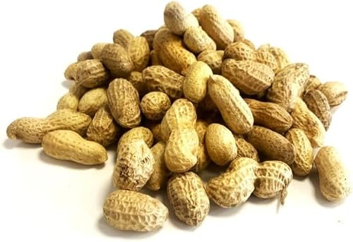 5 Litre Refill Bag Peanuts in Shells Premium Safe Wild Bird Food Monkey Nuts Afflotoxin Free (Weight 1.5kg/approx. 5L)
