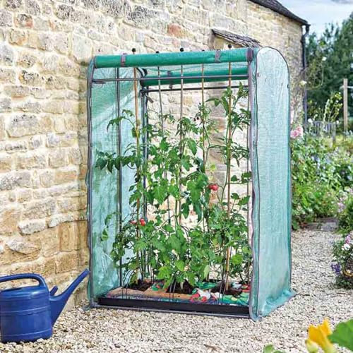 Tomato GroZone Max Mini Greenhouse with Steel Frame, PE Cover, Vent & Cane Holes, Zip Up Front & Back Panels – Grow & Protect Tomatoes, Cucumbers, Peppers, Fits 2 Grow Bags - H150 x W100 x D80cm