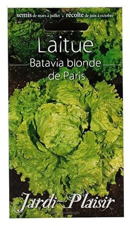 Sachet De Graines Laitue Batavia Blonde De Paris