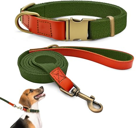 Qianruida Hundhalsband och Koppel Set Hundhalsband och Koppel Justerbart Hundhalsband Hundhalsband Koppel för Små Medelstora Stora Hundar - militärgul, M