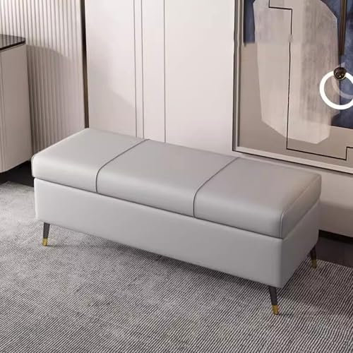 Generico Panca Contenitore in Pelle con Seduta Imbottita - Elegante Contenitore a fine Letto, Organizer per Scarpe con Gambe in Metallo, Perfetto per Ingresso e Soggiorno, Versatile Baule portaoggett