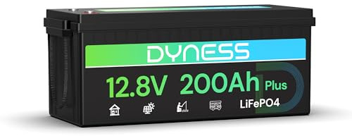 Dyness Batteria Litio 12V 200Ah LiFePO4 con BMS 200A, 2560Wh per Ciclo Profondo Nautico/Camper, Ideale per Solare, Avventura/Furgone, Sistemi Off-Grid