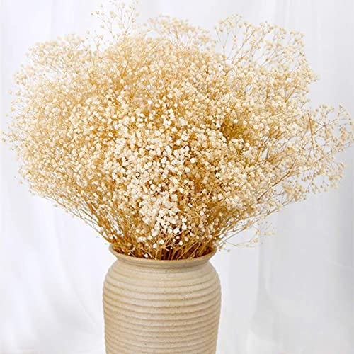 Getrocknetes Schleierkraut-Blumenstrauß - 2000+ elfenbeinweiße Trockenblumen, 43 cm natürliche Gypsophila-Zweige für Hochzeit, Tischvasendekor, DIY-Kranzfloristik, Heim-, Büro-, Party- und Gartendekor