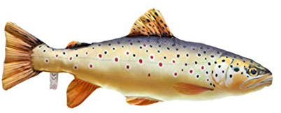 GABY Fish Pillows Bachforelle Mini Kissen, Mehrfarbig, 1 Stück (1er Pack)