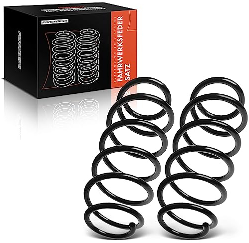 Frankberg 2x Federn Fahrwerksfeder Hinterachse Links Rechts Kompatibel mit A-Klasse W169 A150 A160 A170 A180 A200 1.5L 1.7L 2.0L 2004-2012 Replace# 1693240804