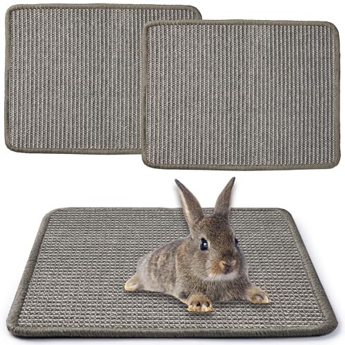 JanYoo 2 Stück Kratzmatte für Kaninchen 40×30cm, Natürliches Sisal Kaninchen Käfig Einlagen Meerschweinchen Unterlage Wiederverwendbar Haustierkäfig Bettwäsche zum Beißen (Grau)
