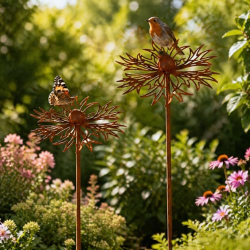 JACKANNA Set di 2 decorazioni per giardino in acciaio corten, decorazione da giardino in metallo, fiore di papavero, teleopea, decorazione da giardino, griglia per aiuole, spina in ruggine naturale (C