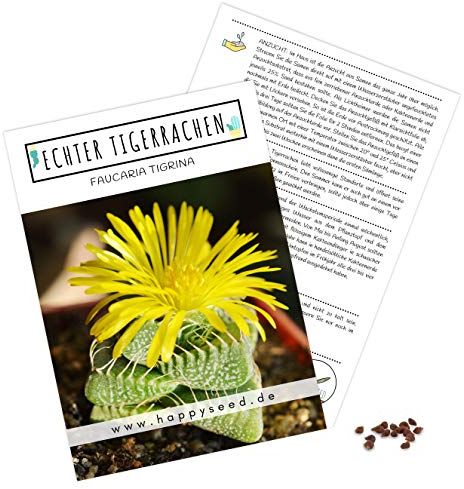 Semillas exóticas de cactus con alta tasa de germinación – Juego de semillas suculentas para tu propio hermoso cactus floreciente