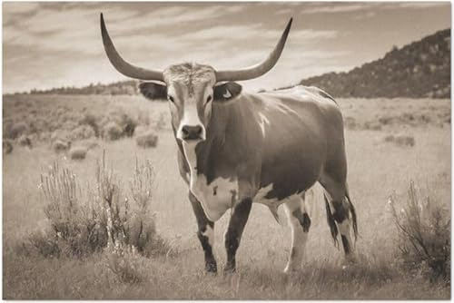 Longhorn in the Country Large Decoupage Paper, 21 x 29 (For Furniture, large projects) by The Shabby Hummingbird