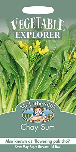 Mr Fothergills - Pictorial Packet - Vegetable - Choi Sum - 500 Seeds