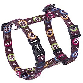 Nobby Geschirr Paw, L: 25-35 cm, B: 10 mm, 1 Stück