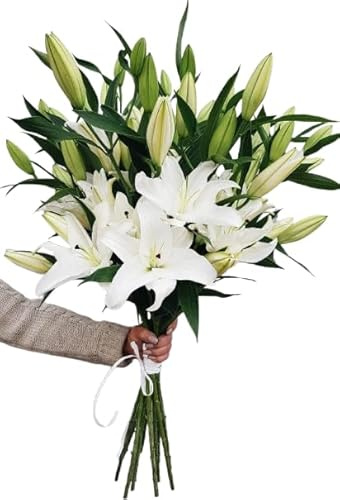 Ramo de Lirios Naturales Color Blanco con 10 Flores en Presentación Premium para Detalles Especiales