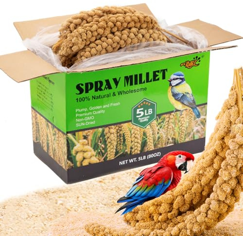 RANZ 5LBS Spray Millet Treat for Pet Birds, Hand-Harvested Bird Snack, Natural Sun-Dried Millet Spray for Parakeets, Parrots, Cockatiels, Lovebirds, Budgies, Finches, Canaries