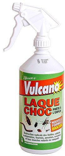 Vulcano laque Laque anti cafard 1 litre Spray puces punaises araignées