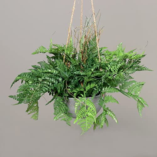 Farnbusch im Hängetopf 30cm / 60cm DP Kunstpflanzen Hängeampel Blumenampel künstliche Pflanzen Farn
