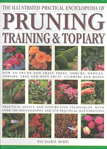 Illustrated Practical Encyclopedia of Pruning, Training and Topiary: How to Prune and Train Trees, Shrubs, Hedges, Topiary, Tree and Soft Fruit, ... photographs and 100 Practical Illustrations