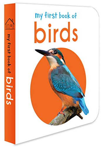 My First Book Of Birds: First Board Book
