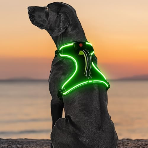 YIAZIM Harnais lumineux anti-traction pour chien avec poignée à DEL (taille M, vert)