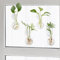 Everkeen Lot de 4 vases avec ventouse - Fenêtre - Plante - Station de propagation - Vase en verre suspendu - Plante terrarium - Pas de clous