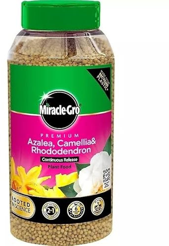 Miracle-Gro Azalea, Camellia & Rhododendron Continuous Release Plant Food 900g Feeds for 6 Months For Acid-Loving Plants With Iron Strong Growth, Vibrant Blooms, Healthy Roots Pink - 1 Pack