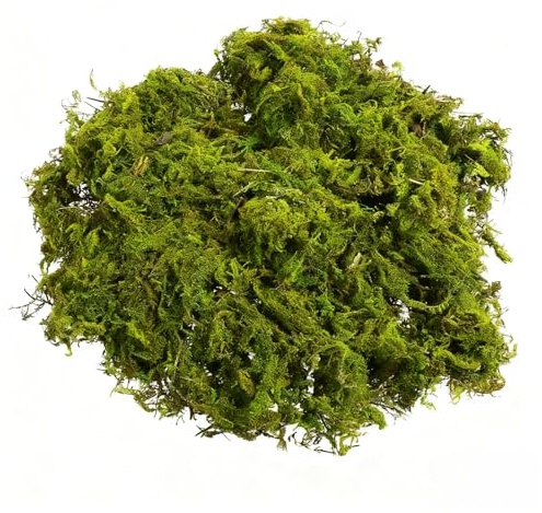 MINWEGI Fake Moss, Artificial Moss for Indoor Plant Pots Decorative Fake Green Plant for Garden Lawn Crafts, DIY Landscape Models, 50g/Pack, Deep Green
