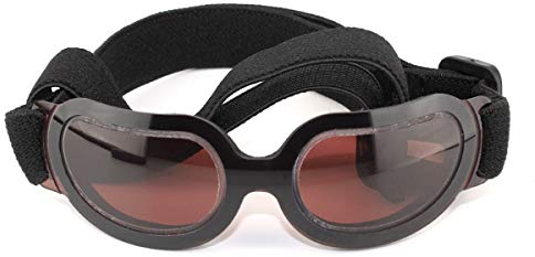 Namsan Hundebrille Mode Katzen-Brille UV Schutzbrille für Hunde Wasserdicht Winddicht Hundesonnenbrille Schutz für Kleine Hunde und Katzen